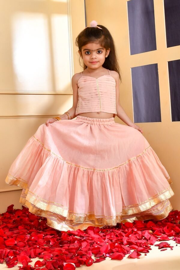 Powder pink lehenga set