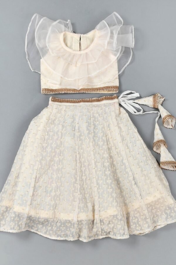 White chikankari lehenga top set