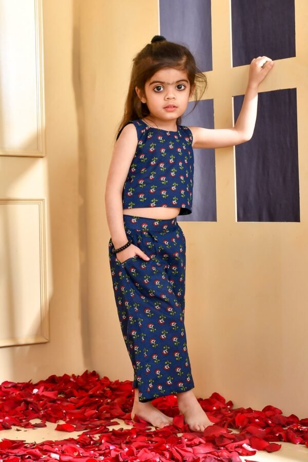 Blue crop top and trouser set