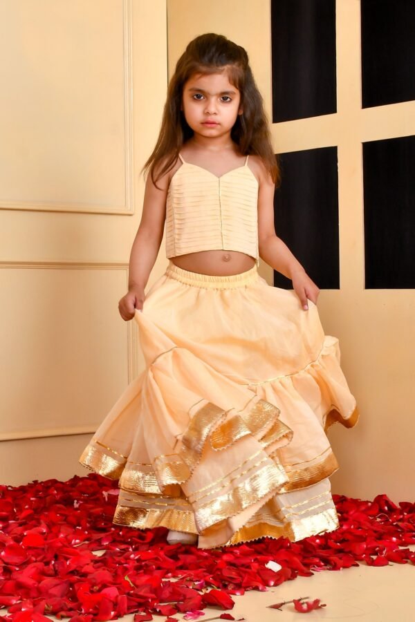 Beige lehenga and top set